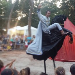 La Città in Tasca 2016
